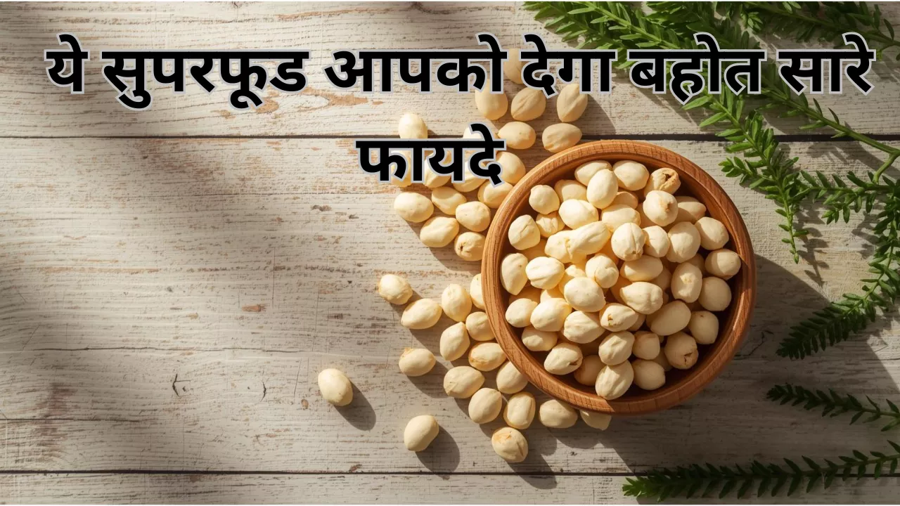 Makhana Benefits: जानें कैसे सिर्फ एक मुट्ठी मखाना बदल सकती है आपकी सेहत