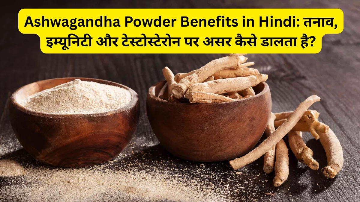 Ashwagandha Powder Benefits in Hindi: अश्वगंधा पाउडर क्या है, फायदे, नुकसान और सही तरीका