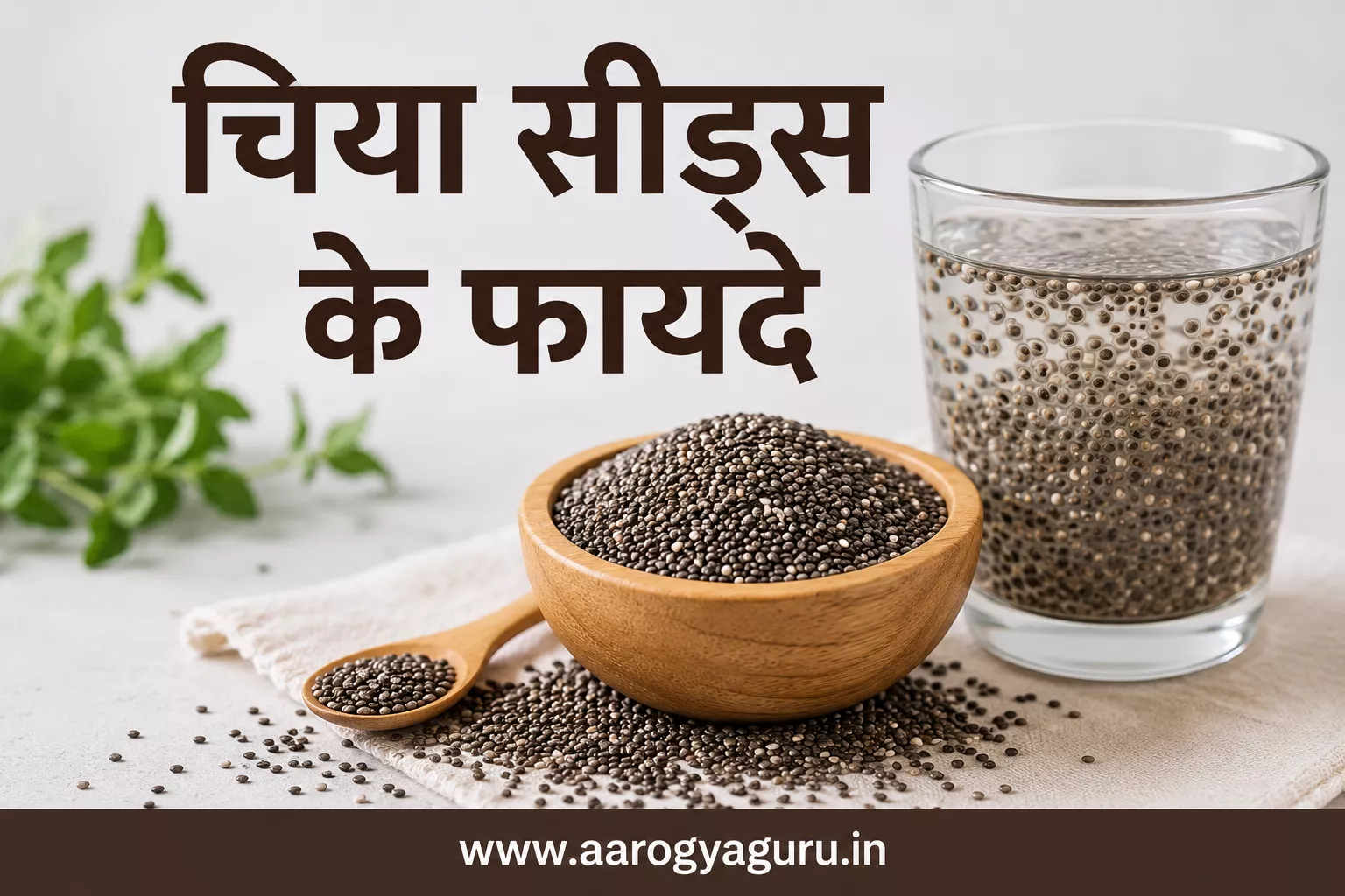 चिया सीड्स के फायदे